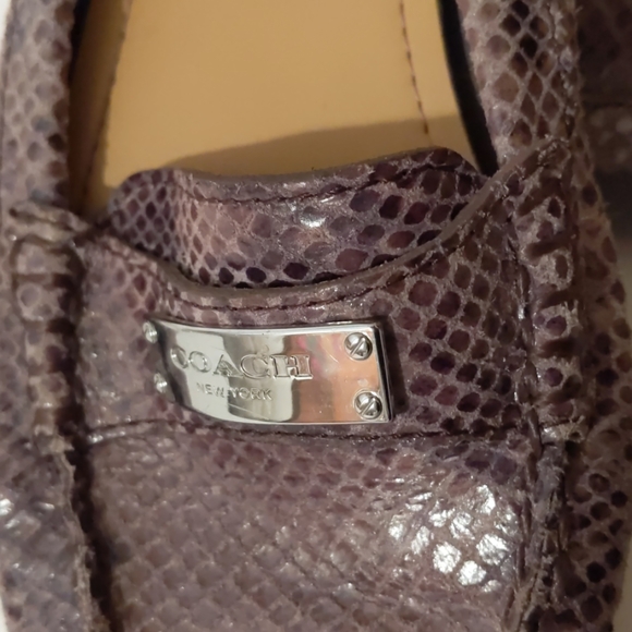 Coach Frederica snake leather loafers-sz 6B - Picture 6 of 7